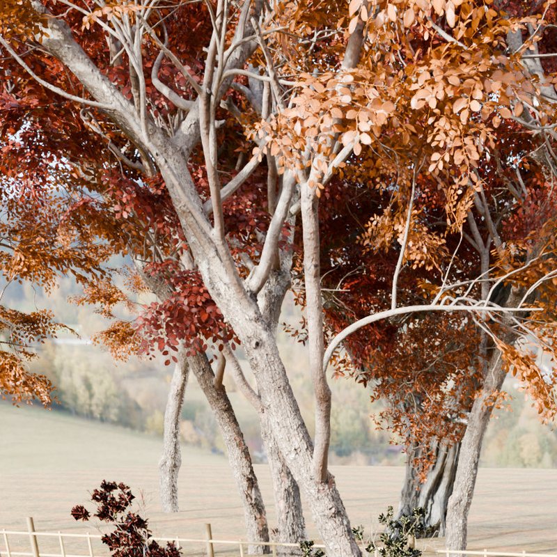 第二話 紅葉の宿:丸い窓の向こうの、赤や橙に色づいた紅葉の木々